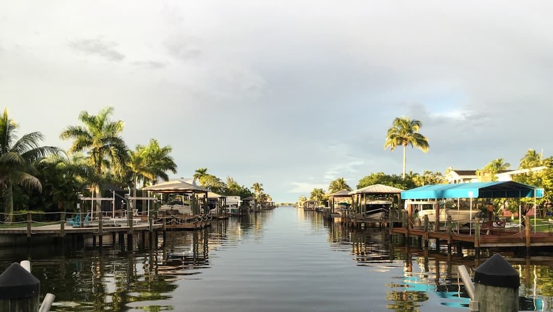 Handyman services in Apollo Beach, FL