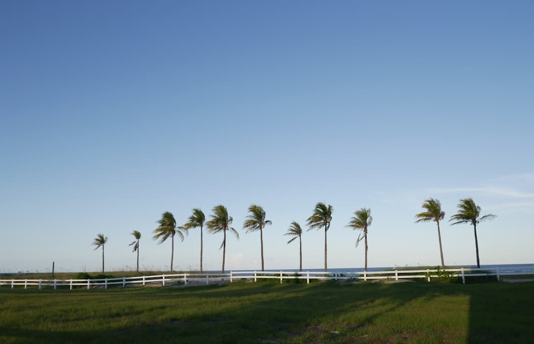 Handyman services in Ruskin, FL