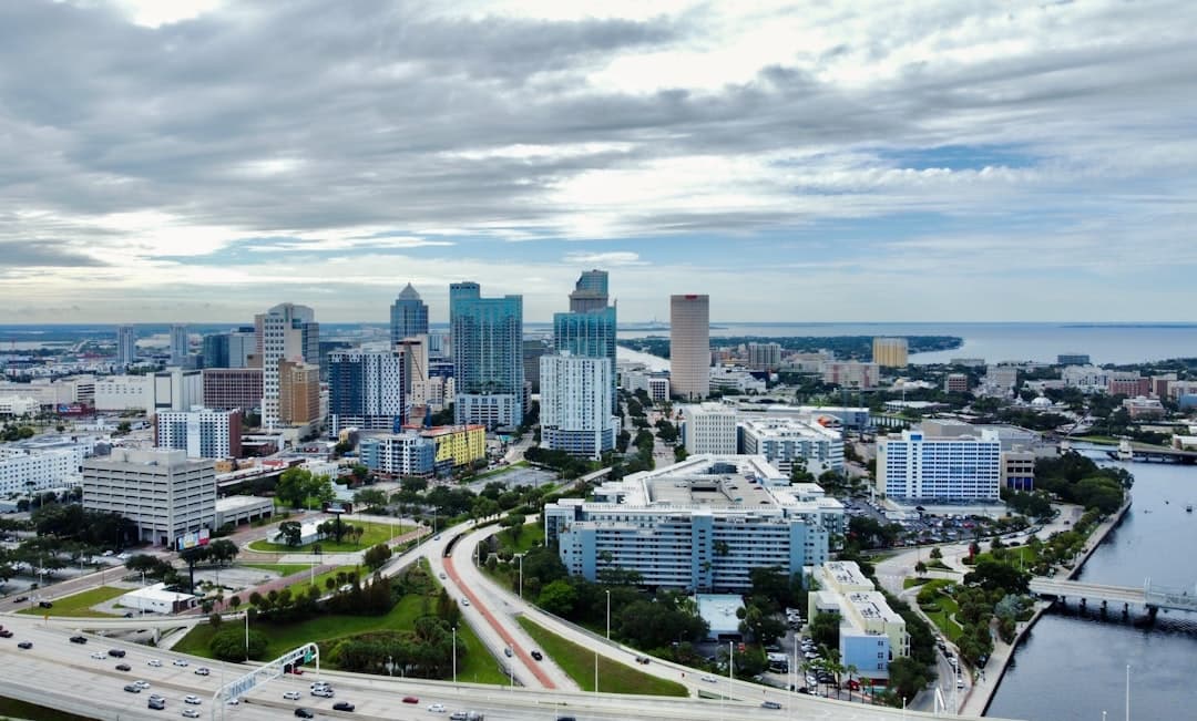 Handyman services in Tampa, FL