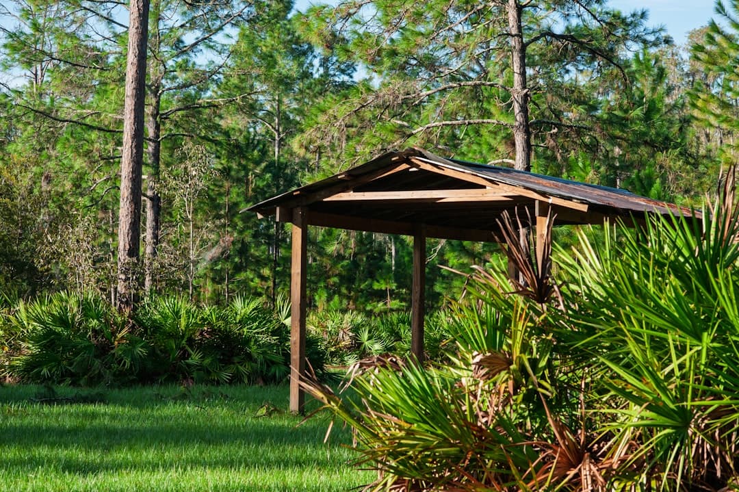 Handyman services in Thonotosassa, FL